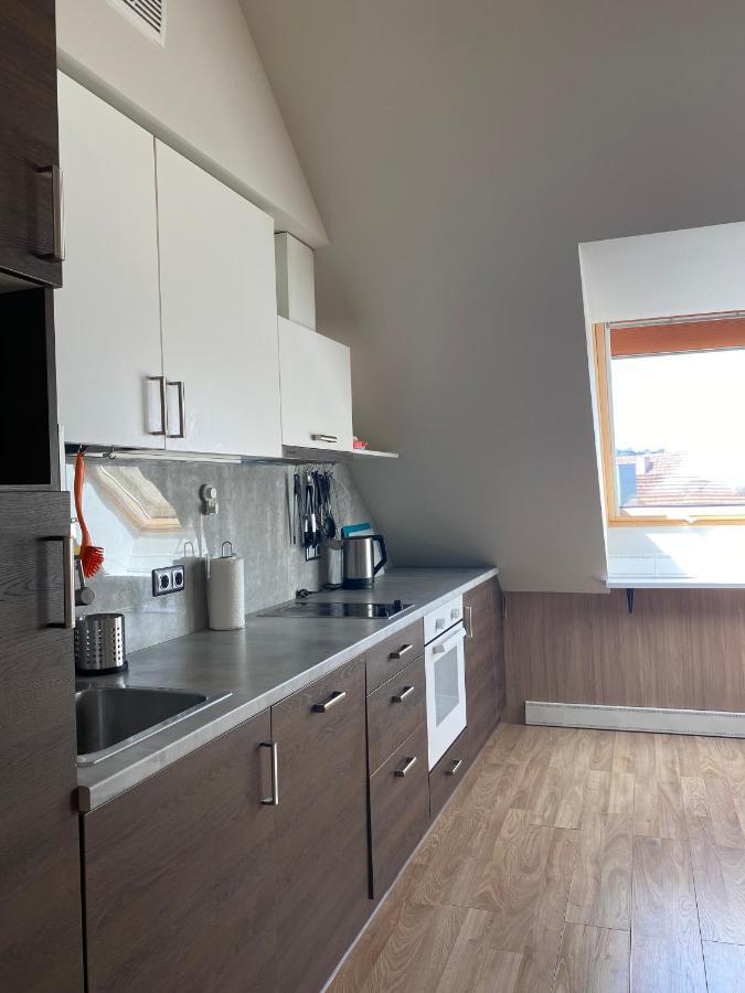 Old Town View Apartment Вилнюс Екстериор снимка